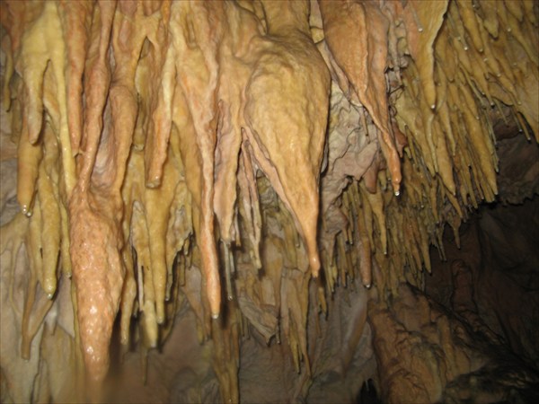 Пещера МАН нв 2008 061